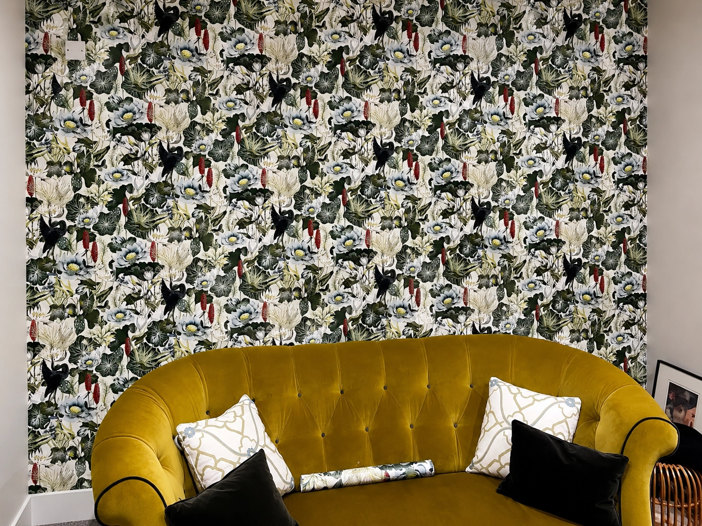 wall